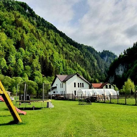 Casa Petruta Dambovicioara 호텔 Podu Dimbovitei 외부 사진