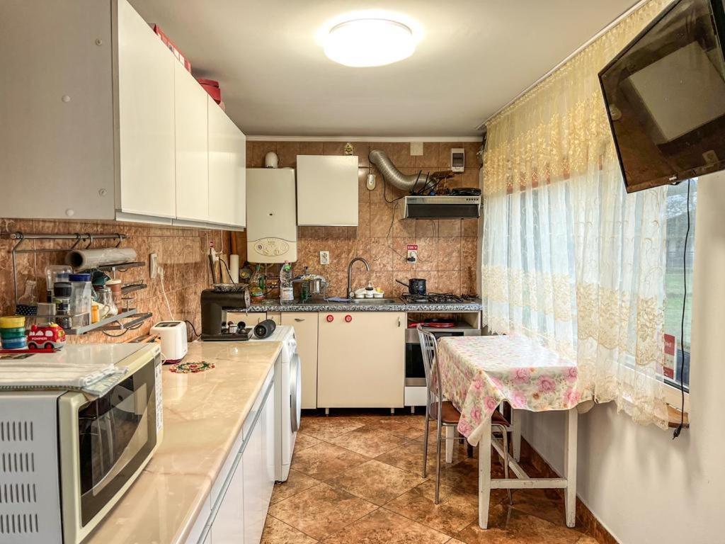 Casa Petruta Dambovicioara 호텔 Podu Dimbovitei 외부 사진