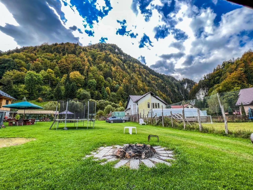 Casa Petruta Dambovicioara 호텔 Podu Dimbovitei 외부 사진