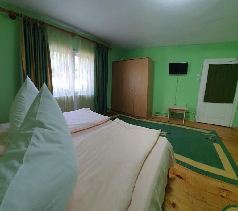 Casa Petruta Dambovicioara 호텔 Podu Dimbovitei 외부 사진