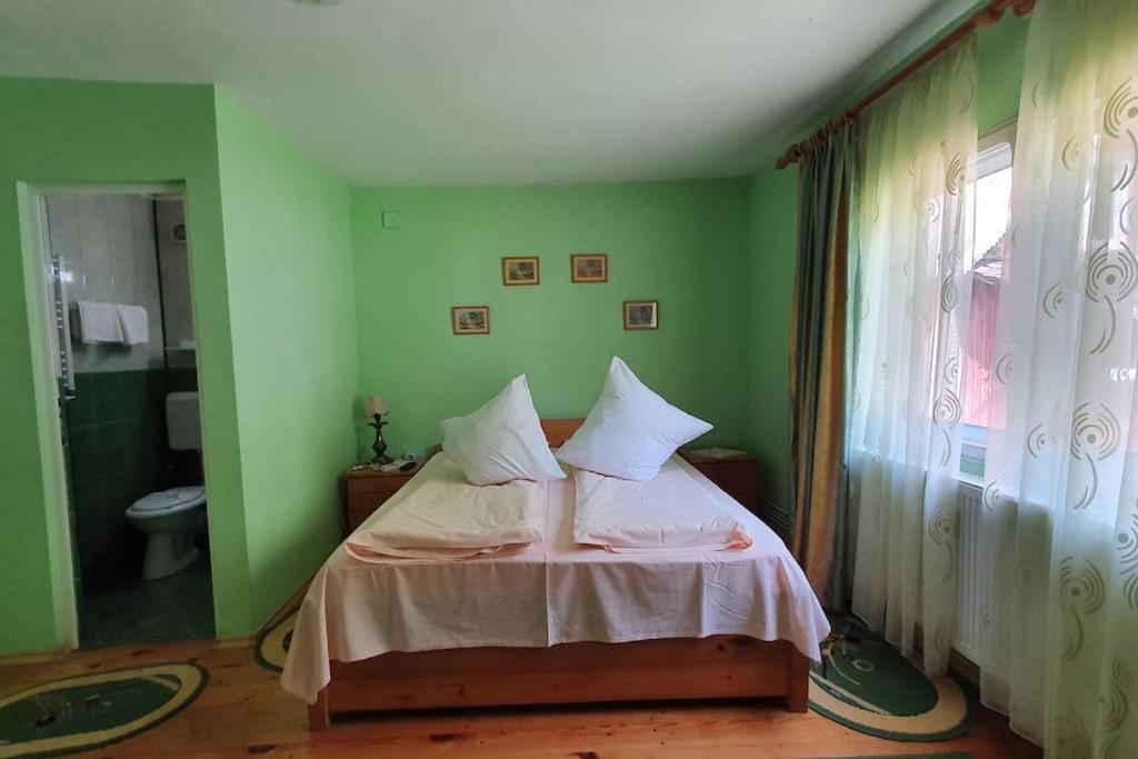 Casa Petruta Dambovicioara 호텔 Podu Dimbovitei 외부 사진