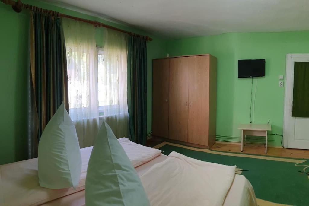 Casa Petruta Dambovicioara 호텔 Podu Dimbovitei 외부 사진