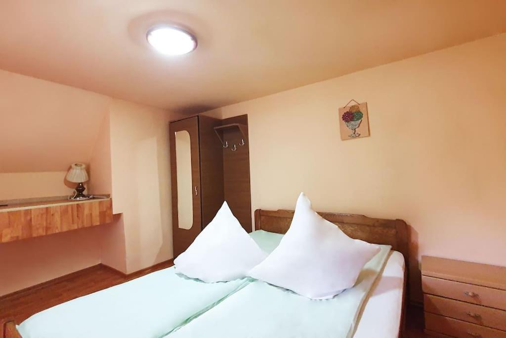 Casa Petruta Dambovicioara 호텔 Podu Dimbovitei 외부 사진