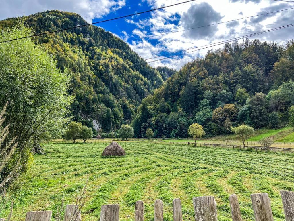 Casa Petruta Dambovicioara 호텔 Podu Dimbovitei 외부 사진