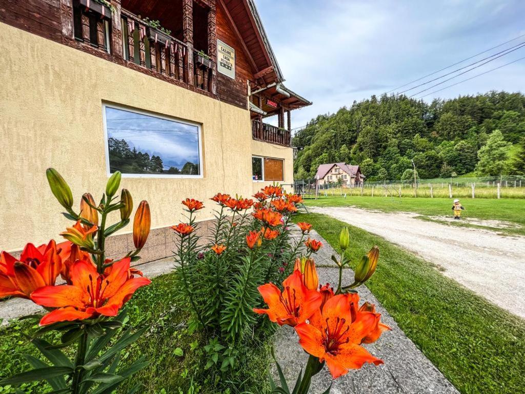 Casa Petruta Dambovicioara 호텔 Podu Dimbovitei 외부 사진