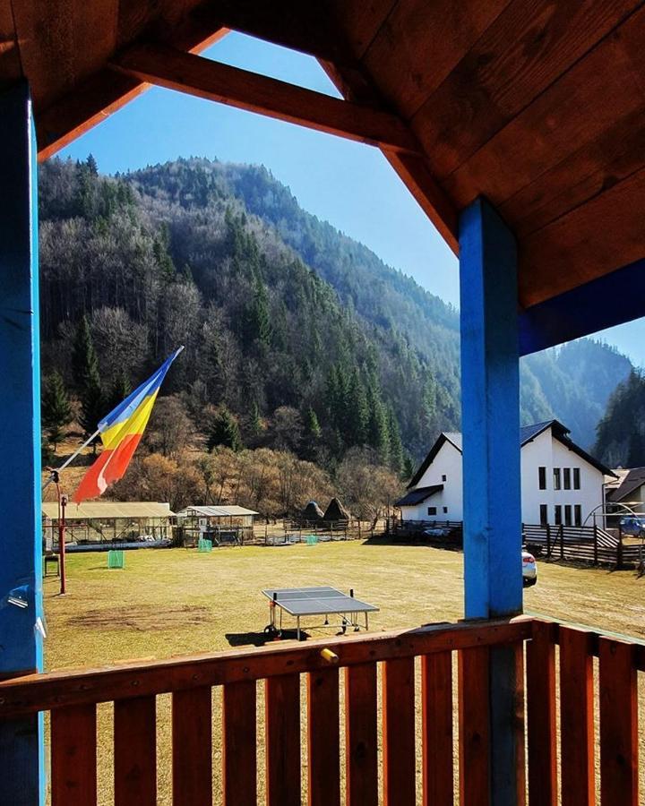 Casa Petruta Dambovicioara 호텔 Podu Dimbovitei 외부 사진