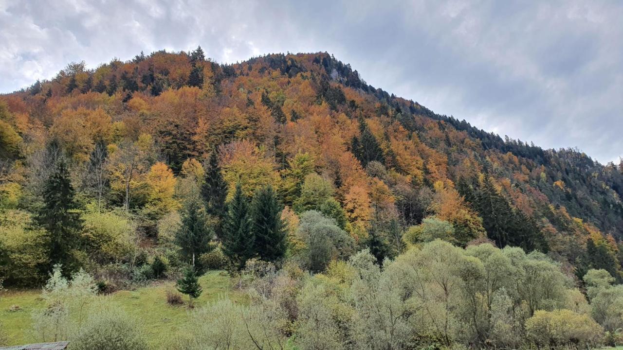 Casa Petruta Dambovicioara 호텔 Podu Dimbovitei 외부 사진