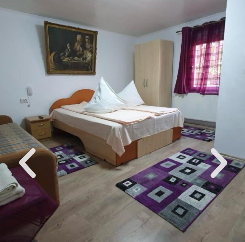 Casa Petruta Dambovicioara 호텔 Podu Dimbovitei 외부 사진